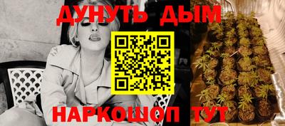 индика Шебекино