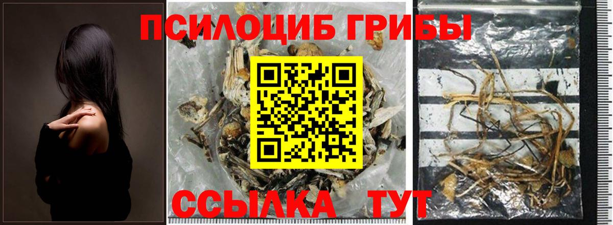 Королёв  Псилоцибиновые грибы мицелий  Вход с VPN  Псилоцибиновые грибы ЛСД 
