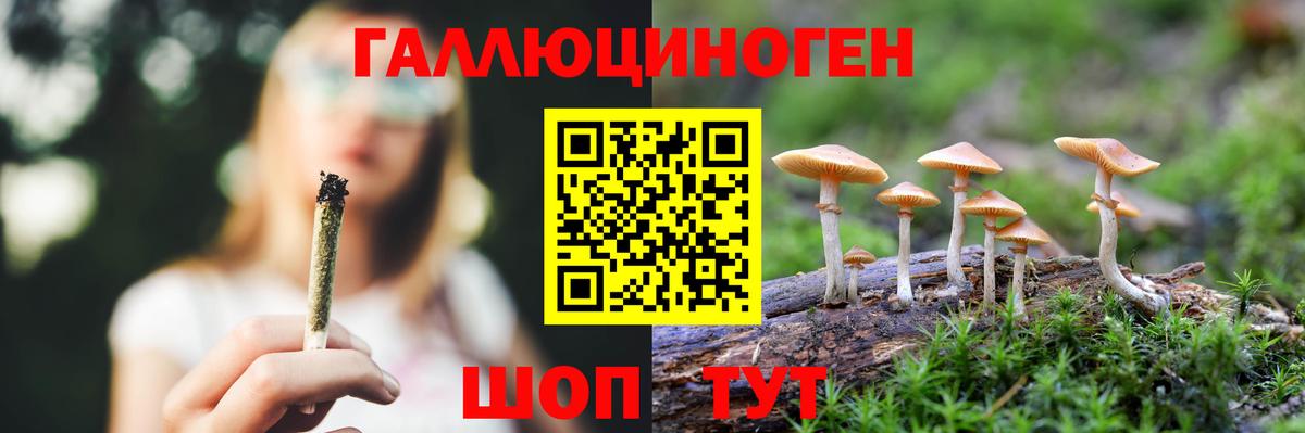 Галлюциногенные грибы Psilocybine cubensis Королёв
