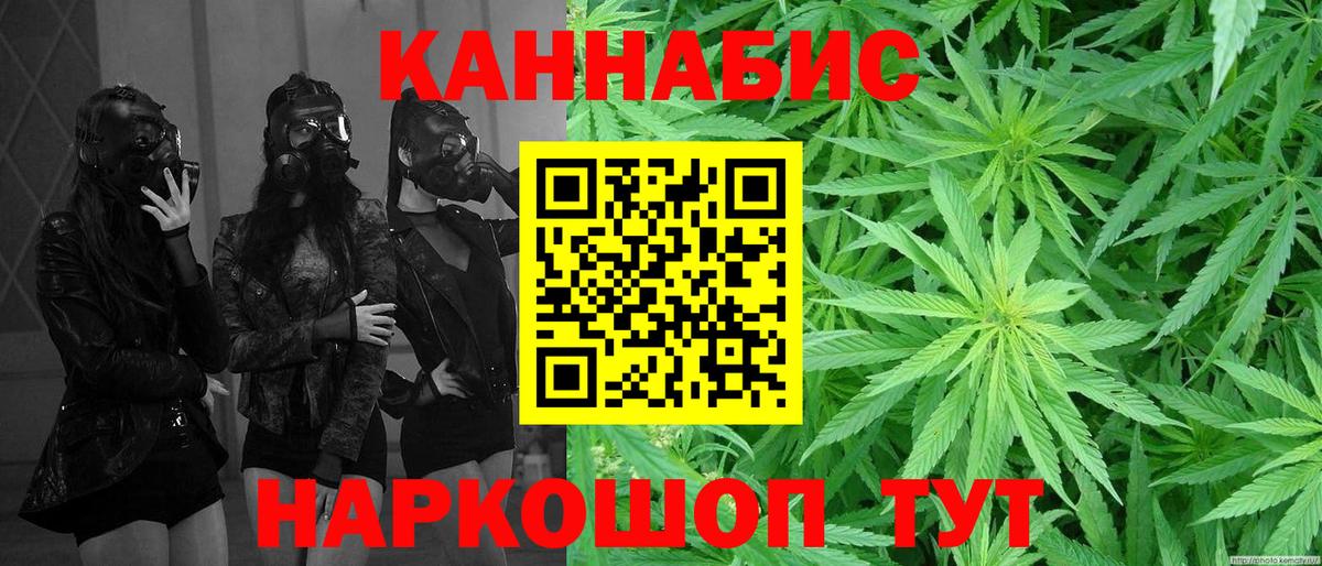 Конопля планчик  Бошки марихуана сатива  Вход с VPN  Королёв  Канабис Ganja  Бошки марихуана тримм 